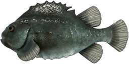 Пинагор